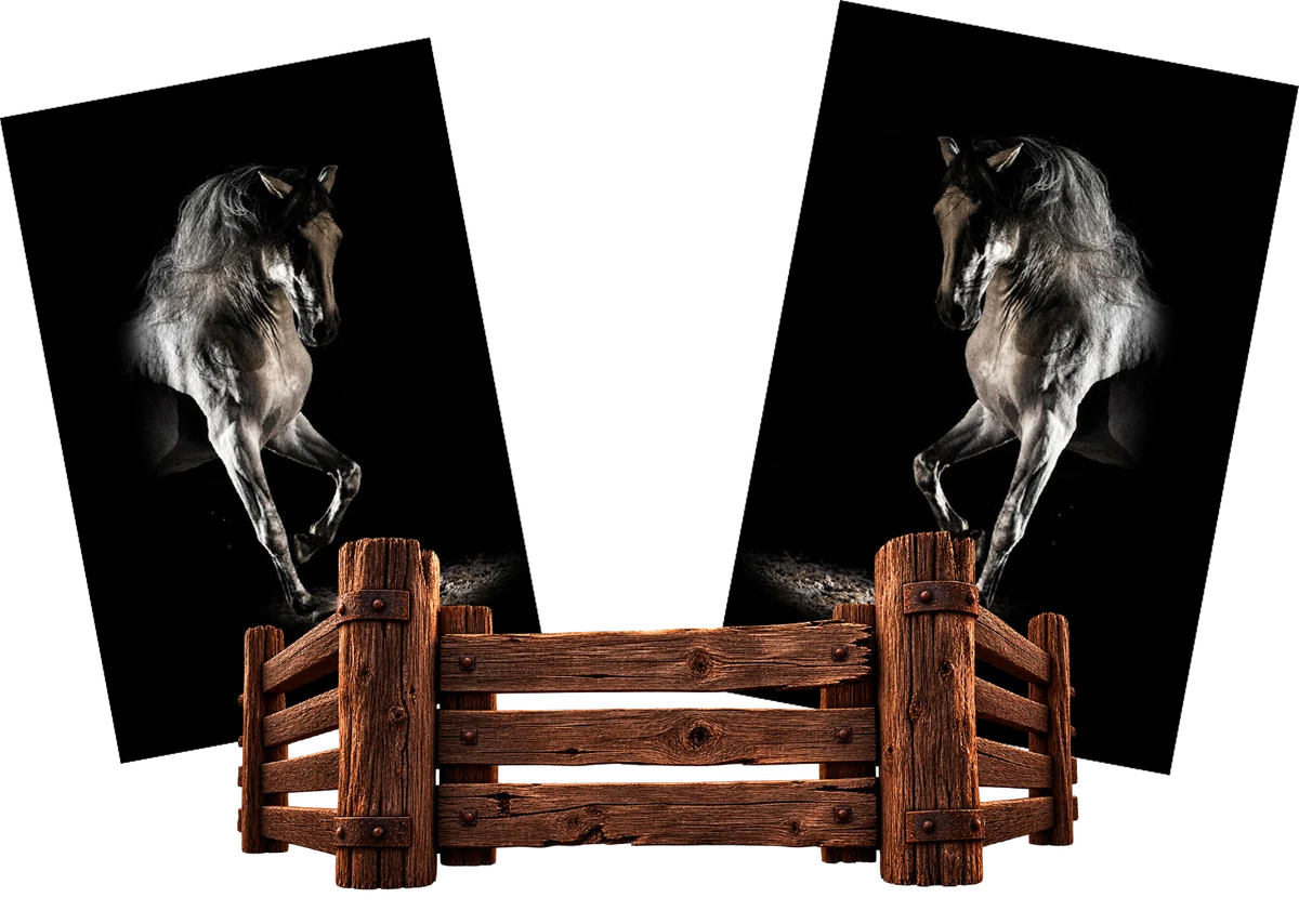 Experiencia a caballo en La Gran Noche de Reyes